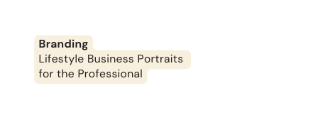 Branding Lifestyle Business Portraits for the Professional